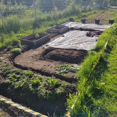 Tiny-Gärten im KGV Friedenauer Vielfalt: Kleine Gärten, große Freude 🌱
